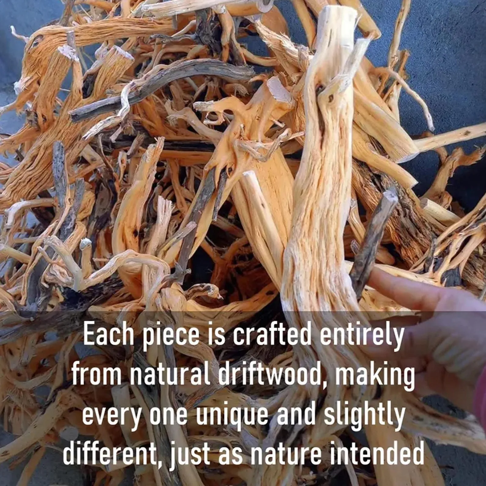 Carved Driftwood Corner Tree Bookshelf With Solid Wood Display Platforms - Image 2